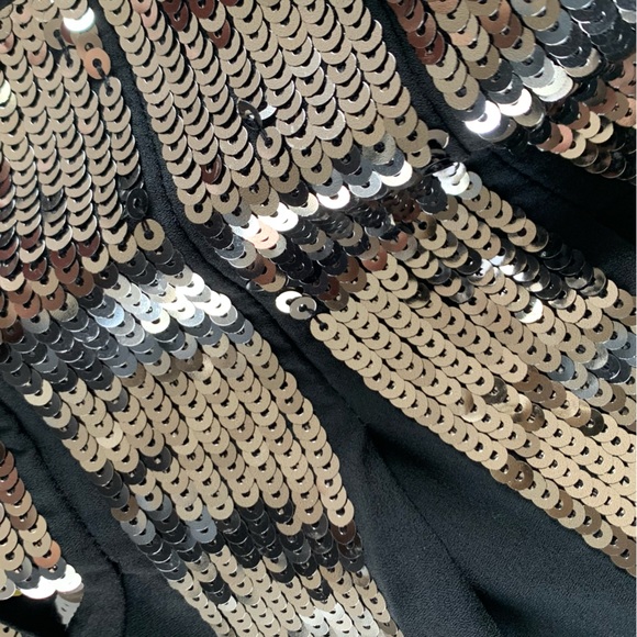 Ann Taylor SZ 2 Black/Silver Sequin Pleated Skirt | NWT - Picture 5 of 10